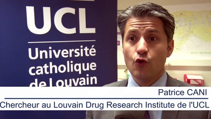 L'UCL dévoile une bactérie qui guérit de l'obésité et du diabète