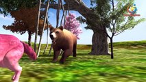 Bear vs dog finger family rhymes | 3d animals epic battle | 3d animals collection