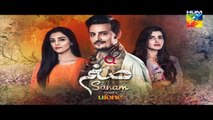 Sanam | Episode 13 | Promo | Full HD Video | HUM TV Drama | 28 November 2016