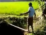 Funny Accident in Kerala India __ Funny Indian WhatsApp Videos Compilation