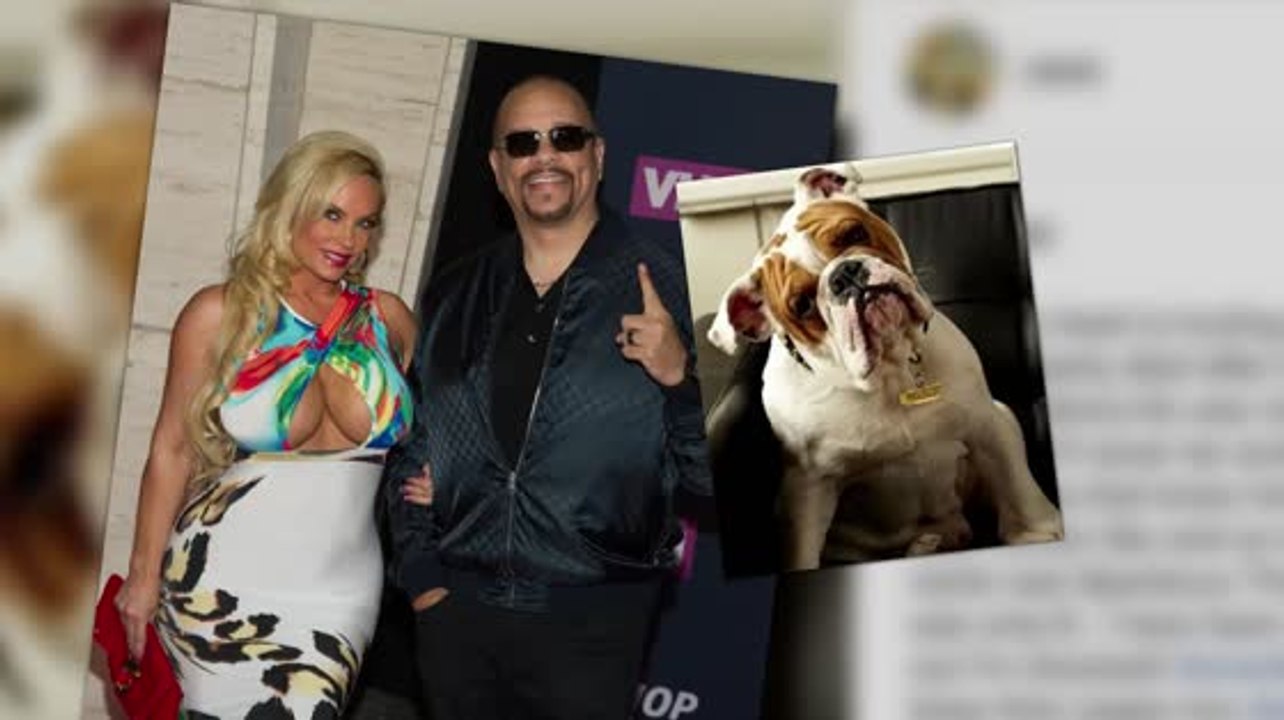 Coco and Ice T Mourn the Loss of Their Dog Spartacus