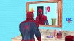 Most Funny Video Of Spiderman Cartoon For Children | Spiderman Shaving Drinking Tea | Funny Moments