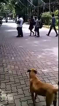 Whatsapp Funny Videos - Bike Stunt Went Wrong - Epic fail bike Stunt Accident in India