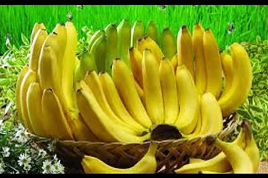 health tips for men Mardana Timing Barhany Ka Nuskha In Urdu Hindi