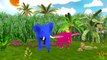 Colors Elephant Singing Johnny Johnny | Johnny Johnny Nursery Rhymes | Colors Elephant Rhymes Songs