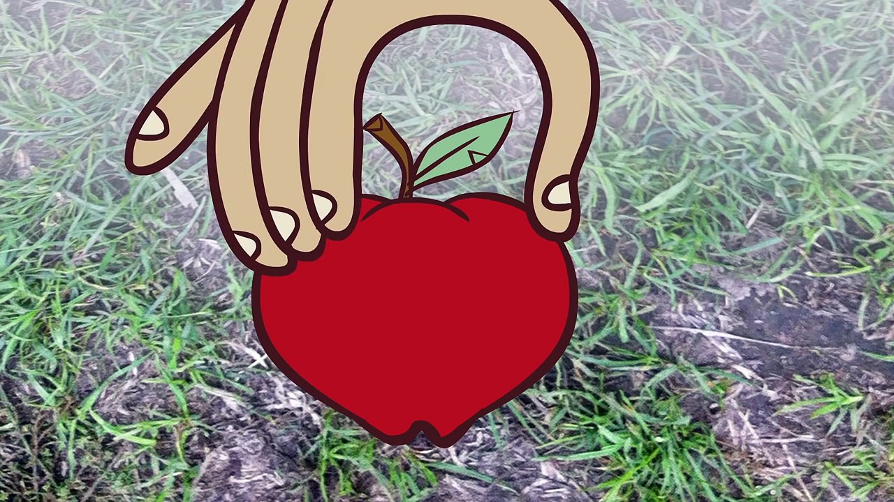 What's the difference between accuracy and precision  - Matt Anticole