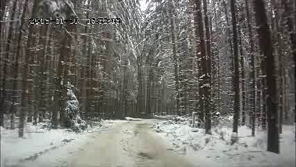 Мой фильм IceForest2p