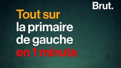 Tout sur la primaire de gauche