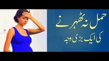 Hamal Na Thehrnay Ke Waja  Hamal Zaya Q Hota Hai  Health Benifits for Pregnancy in Urdu  Hindi