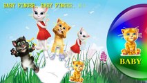Talking Tom Finger Family Song [Nursery Rhyme] Finger Family Fun | Toy PARODY