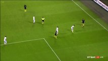 Marcelo Brozovic Goal HD - Inter	1-0	Fiorentina 28.11.2016