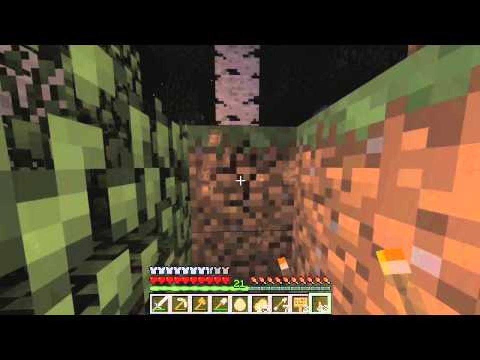 Minecraft Survival LP #03 - S3 - (Ugly Witch Of The West)