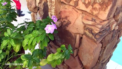 Underwear Swim Party || Mommy Monday