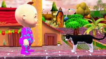Little Baby Boy Funny Dogs Vs Cats Finger Family Songs | Pussy Cat Pussy Cat Children Nursery Rhymes