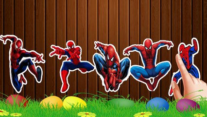 Spider man * Sticker Finger Family Songs Nursery Rhymes BY Sticker Finger Family