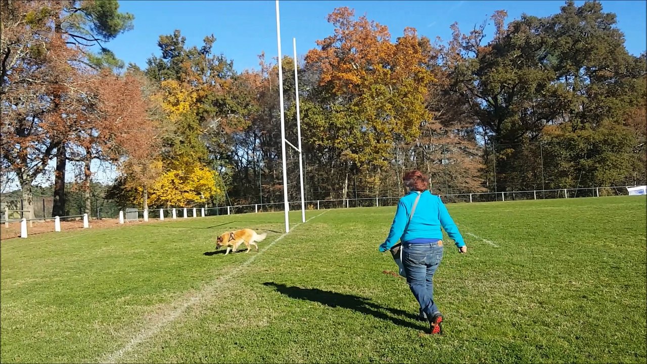 entrainement  sur l'objet en recherche utilitaire