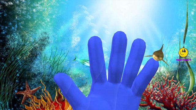 Finger Family Sea Animals Cartoons For Children | Sharks Jelly Fish Finger Family Nursery Rhymes