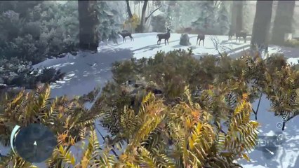 Assassins Creed 3 Official E3 Gameplay Trailer 2012