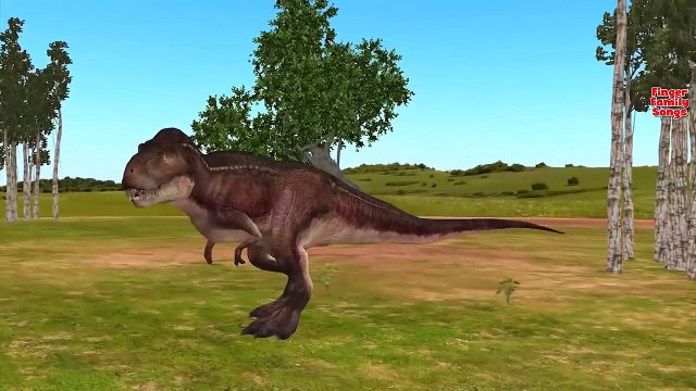 Dinosaurs King Kong Cartoons Finger Family Rhymes For Babies | Shark Animal Finger Family Collection