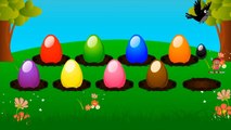 Colors for Children to Learn with Surprise Eggs - Colours for Kids to Learn - Kids Learning Videos