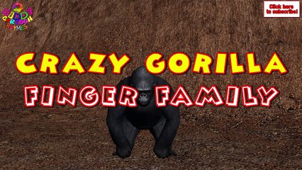 Crazy Gorilla Finger Family | Animal Finger Family Rhymes For Children