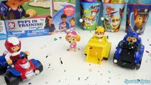Paw Patrol Pups In Training Game Chase, Skye Toy Surprises Poop, Finding Dory, Secret Life of Pets