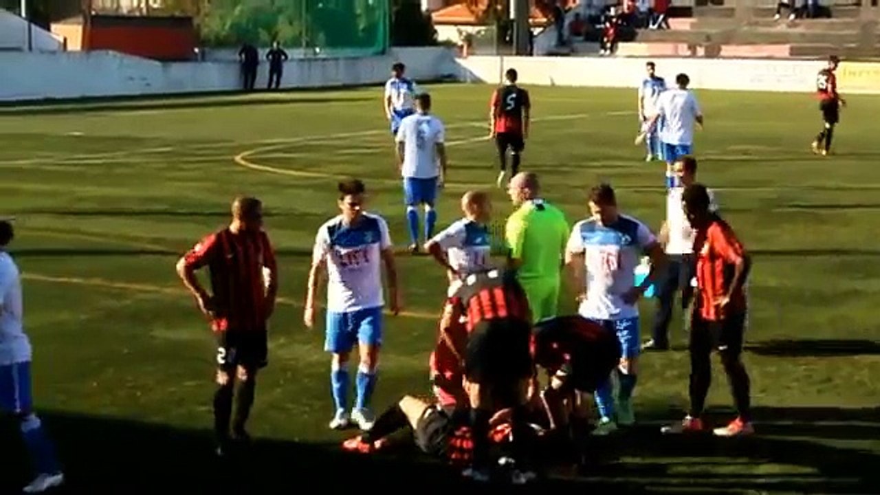 Canelas 2010