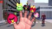 Finger Family 3D ANGRY BIRDS - iBIRD - SPIDER-MAN | Nursery Rhymes for Children