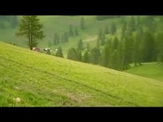 LES MISSIONS DU SHOW LIVE - Gilbert Touffu a perdu son sac