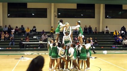 Warrington Middle School Cheerleaders