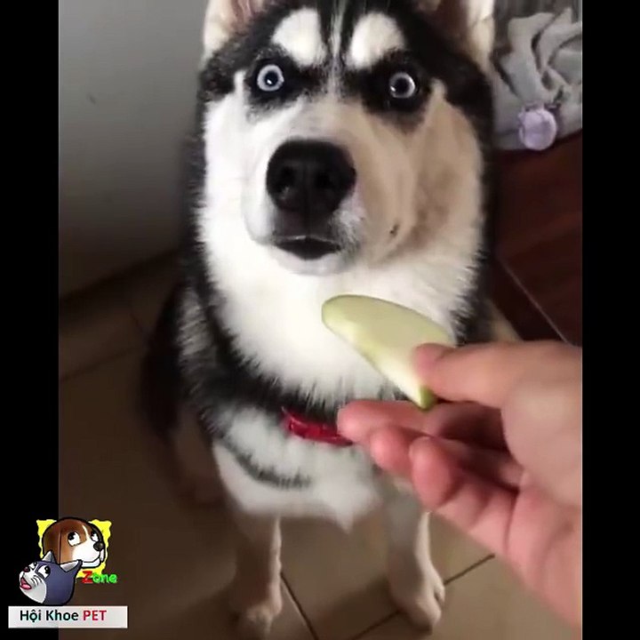 look and feel  Vous ne le regretterez pas