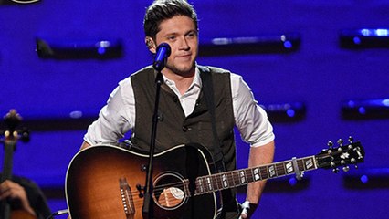 Niall Horan Teases Epic One Direction Reunion