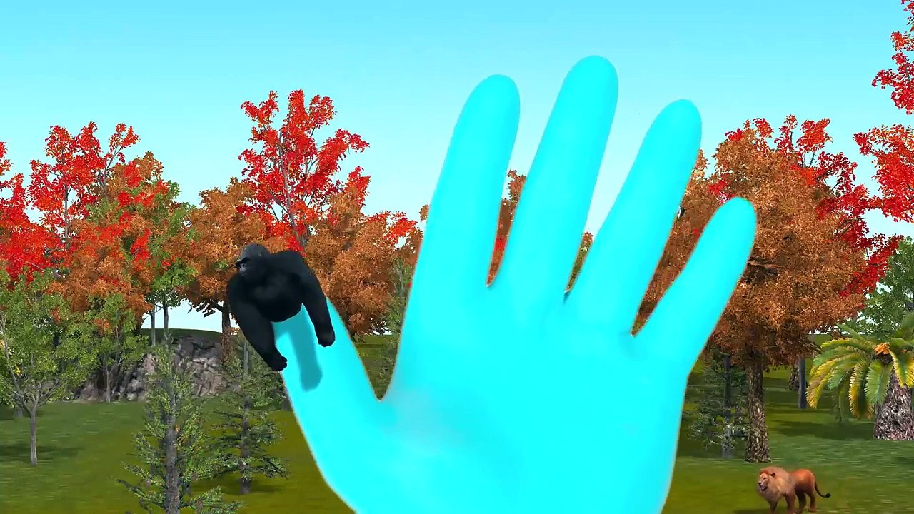 Gorilla Finger Family Rhymes | TOp 10 Animated Gorilla Finger Family Rhymes For Children