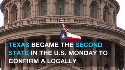 Texas has its first locally transmitted case of the Zika virus