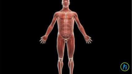 Boli degenerative de disc