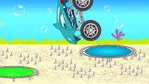 Dolphin Truck - Car Wash - Monster Trucks For Kids