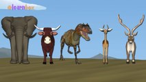 The Finger Family Animals Family Nursery Rhymes | Animals Finger Family Songs - 3D Animation Rhymes