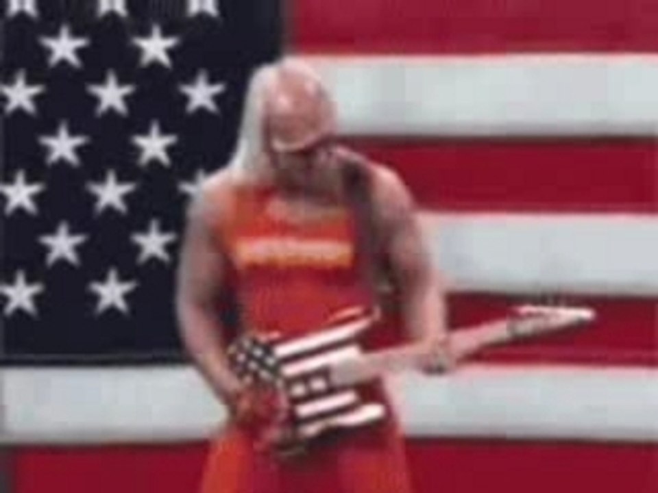 Hulk Hogan Hero