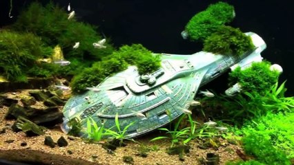 100 Awesome Ideas!  MORE FISH TANKS!