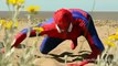 Superhero in Real Life Spiderman Adventure With Flowers In Real Life Irl Super Hero Fights Vs