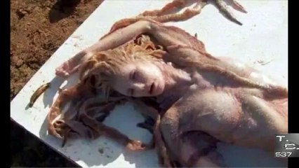 Sirena Real Grabada En Mexico