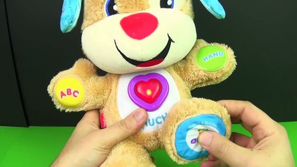 Learn Fun Dog Toy Mattel Fisher-Price learning Alphabet Words Colors Kids Songs Body Parts (German)