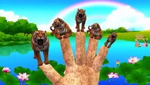 Lion Tiger Finger Family Rhymes - Finger Family Rhymes Collection - Lion Tiger Nursery Rhymes