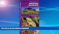 READ  Arizona Wildlife: A Folding Pocket Guide to Familiar Species (Pocket Naturalist Guide