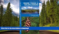 READ  Maine Trees   Wildflowers: A Folding Pocket Guide to Familiar Species (Pocket Naturalist