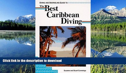 READ  Diving and Snorkeling Guide to the Best Caribbean Diving (Lonely Planet Diving   Snorkeling