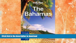 READ  Lonely Planet The Bahamas (Travel Guide)  BOOK ONLINE