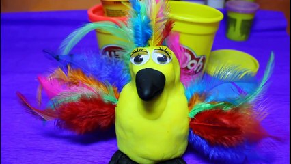 PLAY DOH EASY Funny Birds & Angry Birds