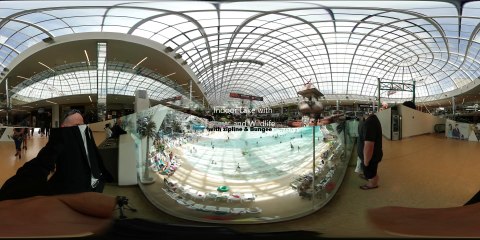 west edmonton mall Alberta in 360 video for VR by This is me in VR