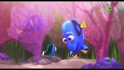 Buscando a Dory - Disney Clip  Dory Bebé  Español